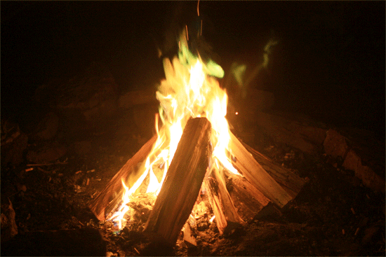 A live campfire burning around crossed logs in a dark clearing